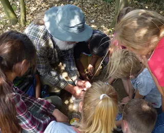 Kinder nehmen an einem Umweltbildungsangebot teil