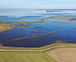 Luftaufnahme eines Küstenüberflutungsmoores an der Ostseeküste