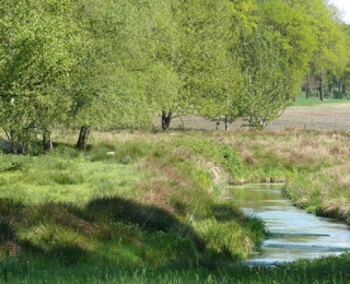 sommerliche Landschaft im Hotspot 23