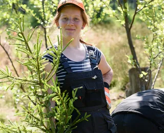 Junge Menschen bei der Biotoppflege