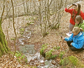 Drei junge Frauen untersuchen einen Quellbach