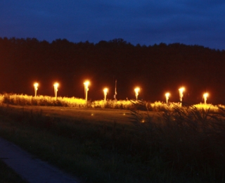 Experimentalfeld mit Straßenlaternen