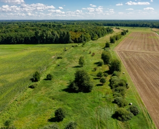 Luftaufnahme des Grünesn Bandes bei Seebenau