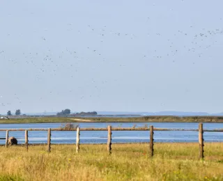 Polder Drammendorf an der Ostseeküste