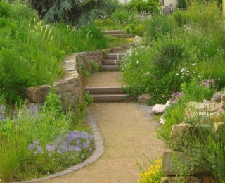 Naturnaher Garten mit Weg und heimischen Stauden