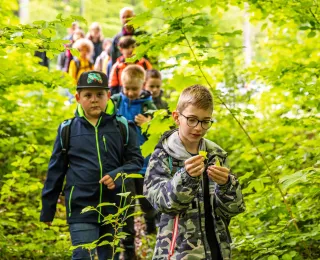 Kinder, die begleitet von Erwachsenen gemeinsam einen Wald erkunden.