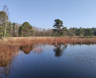 Moorlandschaft