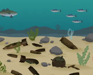 Screenshot des Videos mit animierter Unterwasserwelt mit Meeresbewohnern und Altmunition