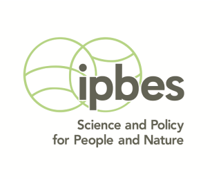 Logo Intergovernmental Platform on Biodiversity and Ecosystem Services (IPBES)