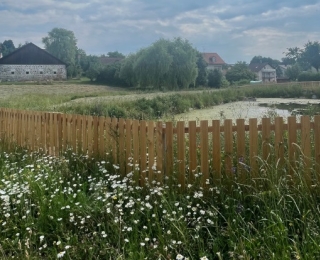 Umzäunter Rathausweiher mit Wiesen