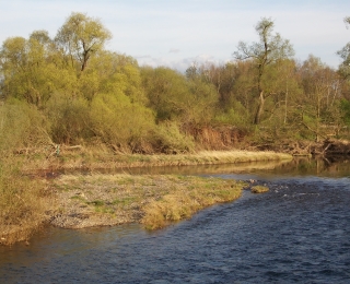 renaturierter Abschnitt des Flusses Sieg