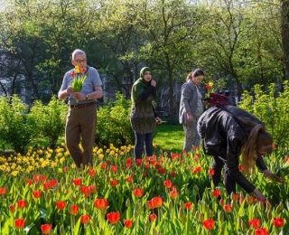 Menschen pflücken Blumen, im Hintergrund Bäume