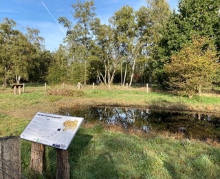 Wiese mit Teich, Zaun, Bäumen und Infoschild