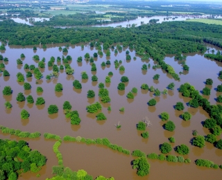 nature-based wetlands