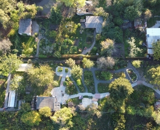 Blick von oben auf einen Garten