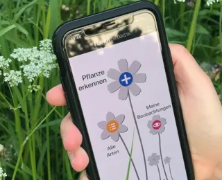 Pflanzenbestimmung mit dem Smartphone