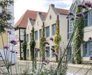 Stauden, Bäume und Hausbegrünung im Innenstadtbereich