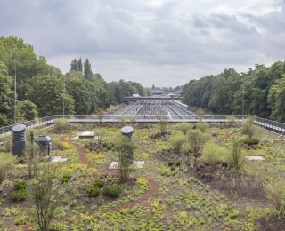 Begrüntes Dach im Vordergrund, Schienen im Hintergrund