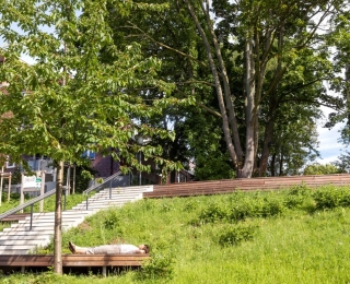 Begrünter Hang mit Treppe und Holzelementen