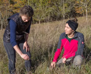 Zwei Personen be der Begutachtung einer Wiesenfläche