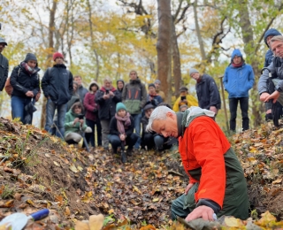 Mehrere Personen schauen sich einen Waldboden genau an