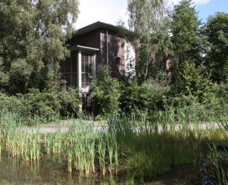 Pflanzen und Wasser im Vordergrund, Haus und Bäume im Hintergrund