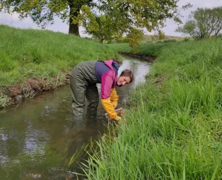 eine Frau beim Köcherfliegenmonitoring am Hischebach