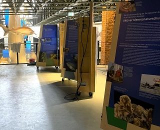 Infotafeln zur Meeresnaturschutz-Ausstellung
