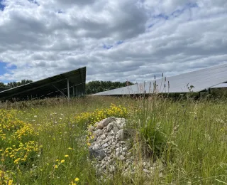 Solarmodule und die darum liegende Wiese, im Vordergrund ist ein Steinhaufen zu sehen