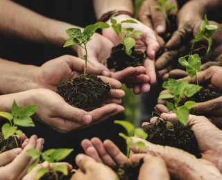 Group of environmental conservation people hands planting in aerial view