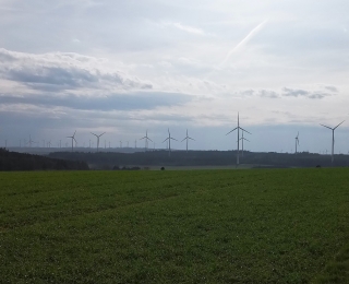 Grünland mit Waldbereichen und 66 Windenergieanlagen in unterschiedlicher Entfernung am Horizont. Hunsrück, Rheinland-Pfalz