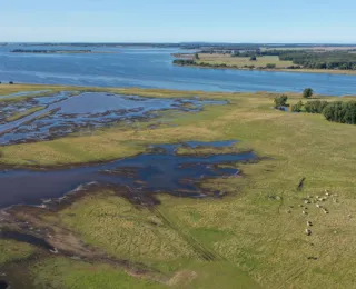 Luftbild von einem Polder an der Ostseeküste nach Deichöffnung, im Osten Kubitzer Bodden