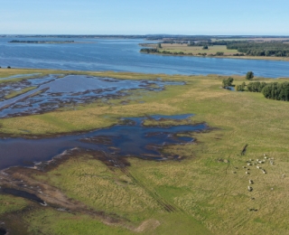 Luftbild von einem Polder an der Ostseeküste nach Deichöffnung, im Osten Kubitzer Bodden