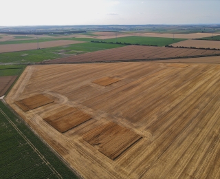 Großes Getreidefeld in Agrarlandschaft nach der Ernte, mit einzelnen quadratischen Aussparungen mit noch hohem Getreideaufwuchs.