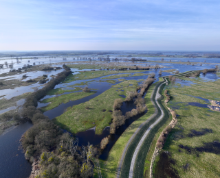 Luftaufnahme des überfluteten Deichvorlands an der Elbe mit wassergefüllten Senken und Gehölzen und Qualmwasser außerhalb des Deiches.