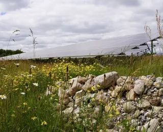 Freiflächensolaranlage mit verschiedenen Elementen zur Förderung der Biodiversität (Steinhaufen, Blühwiese)