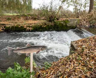 Projektgebiet Fluss.Frei.Raum 