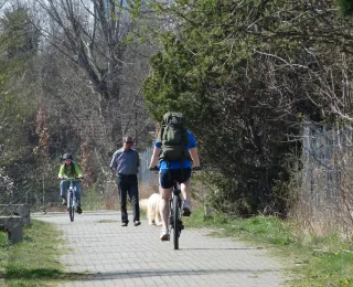 Personen die auf dem Fahrrad einen Weg befahren und einen Spaziergänger mit Hund