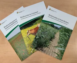 Cover der drei Unterrichtsbausteine