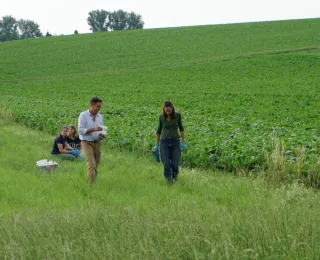 Auf einem Feld entnehmen Wissenschaftler Bodenproben.