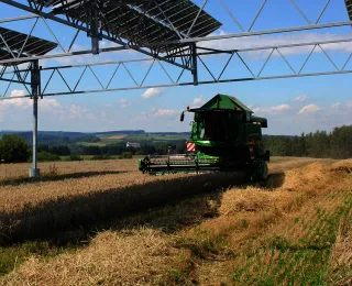 Ernte auf einem Weizenfeld mit einem Mähdrescher unter einer Agri-PV-Anlage