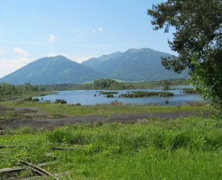 Rosenheimer Stammbeckenmoore umgeben von Bergen und Grünland