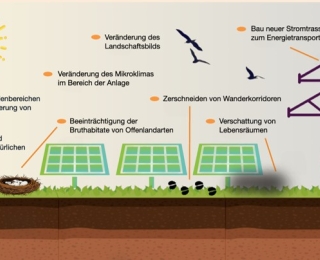 Beispielhafte Darstellung möglicher Auswirkungen von Photovoltaik-Freiflächenanlagen. Möglich sind: Verdichtung von Bodenbereichen durch Befahren / Lagerung, Beeinträchtigung des Bodenprofils, Beeinträchtigung der Bruthabitat von Offenlandvogelarten, Veränderungen des Mikroklimas im Bereich der Anlage, Veränderung des Landschaftsbilds, Zerschneidung von Wanderkorridoren, Verschattung von Lebensräumen, Bau neuer Stromtrassen zum Energietransport.