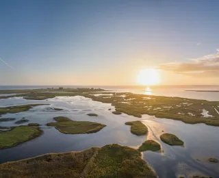 Salzwiesen speichern besonders viel Kohlenstoff in ihren Böden