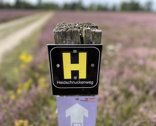Schild mit der Beschriftung Heidschnuckenweg