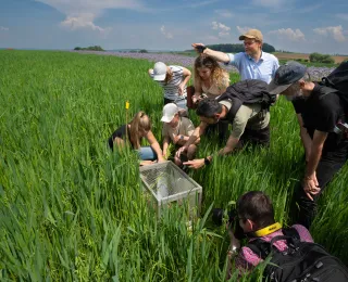 Feldhamsterwiederansiedlung in Aktion – WissenschaftlerInnen, Fotografinnen und Fotografen umstehen einen Wiederansiedlungskäfig in einem Haferfeld mit Blühstreifen im Hintergrund.