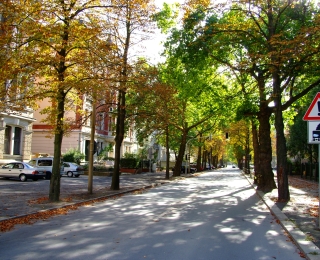 beidseitige Allee in einem gründerzeitlich geprägten Stadtviertel im Herbst