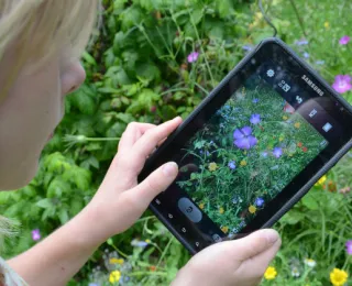 Kind spielt mit der App Finde Vielfalt auf dem Smartphone.