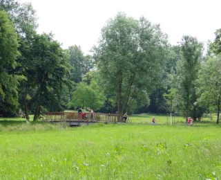Im Projektgebiet Schloßhofbach entwickeln sich Grünflächen zu naturnahen Wiesen.