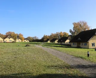 Hintereinander gereihte gelbe Häuser auf der Insel Vilm